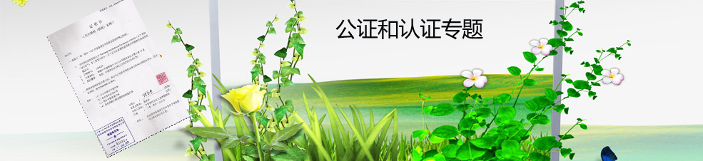 鄭州外資公司注冊(cè)公證和認(rèn)證專題