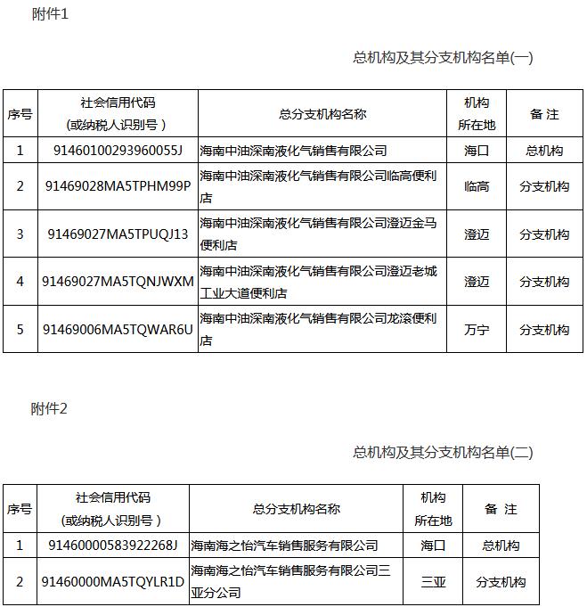 瓊稅發(fā)〔2021〕7號(hào)《國家稅務(wù)總局海南省稅務(wù)局海南省財(cái)政廳關(guān)于海南中油深南液化氣銷售有限公司等企業(yè)總分支機(jī)構(gòu)匯總繳納增值稅有關(guān)事項(xiàng)的通知》
